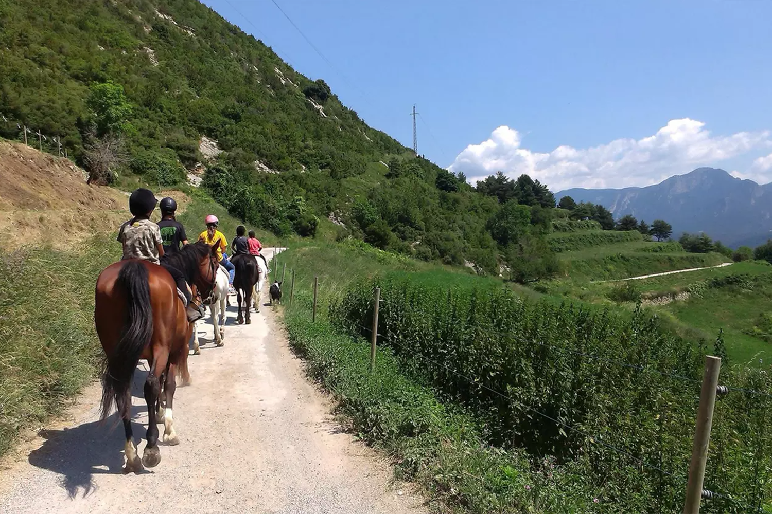 Ruta a Cavall